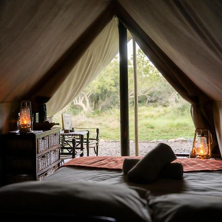 Quatermain'S 1920'S Safari Camp - Amakhala Game Reserve Exterior photo