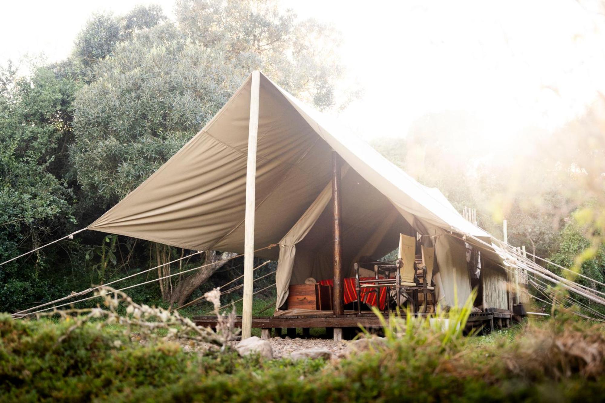 Quatermain'S 1920'S Safari Camp - Amakhala Game Reserve Exterior photo