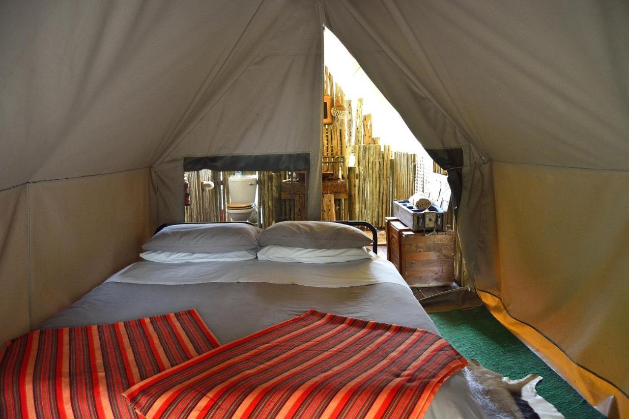 Quatermain'S 1920'S Safari Camp - Amakhala Game Reserve Exterior photo